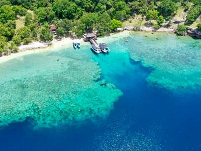 Menjangan island