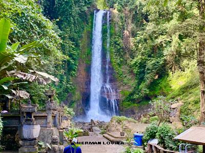 gitgit waterfall dolphin